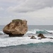Mushroom Rock, Point Peron P7191034 by merrelyn