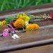 Left on a bench in the park by okvalle