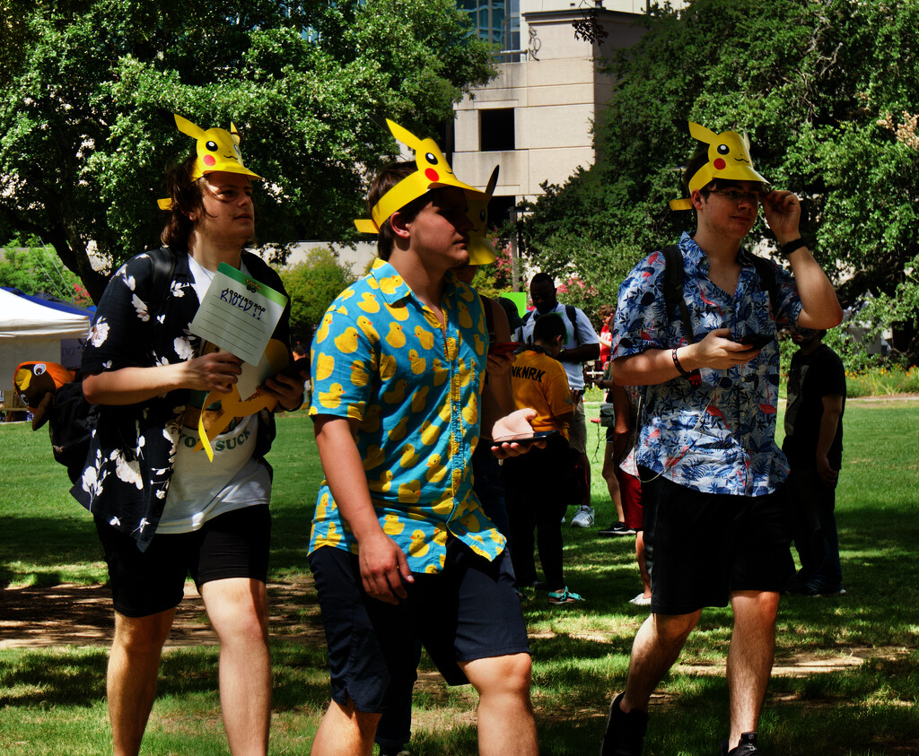 Why are these people wearing yellow hats and what are they looking for? by eudora