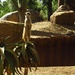 Aust Zoo #2 - I can see you! by robz