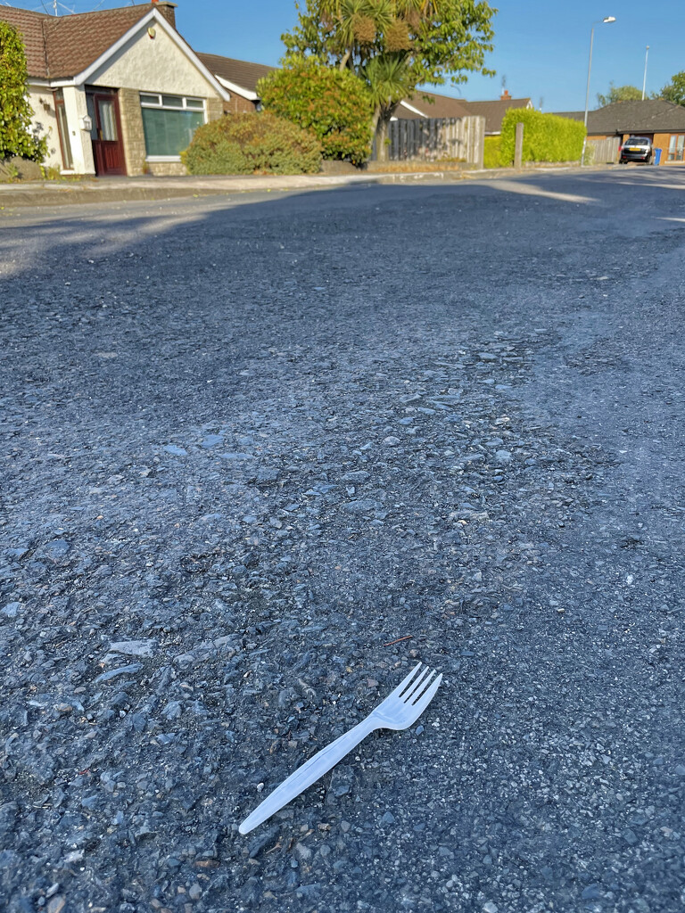 2021-07-15 An Unexpected Fork in the Road by cityhillsandsea