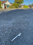 15th Jul 2021 - 2021-07-15 An Unexpected Fork in the Road