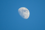 20th Jul 2021 - Waxing moon