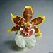 Oncidium flower by monicac