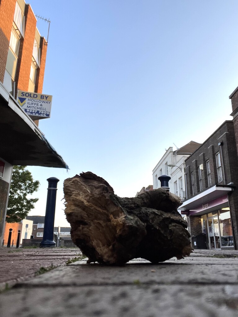 A lump of wood in the middle of the high street. by bill_gk