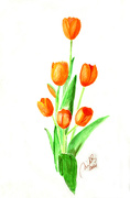 20th Jul 2021 - tulips in watercolour