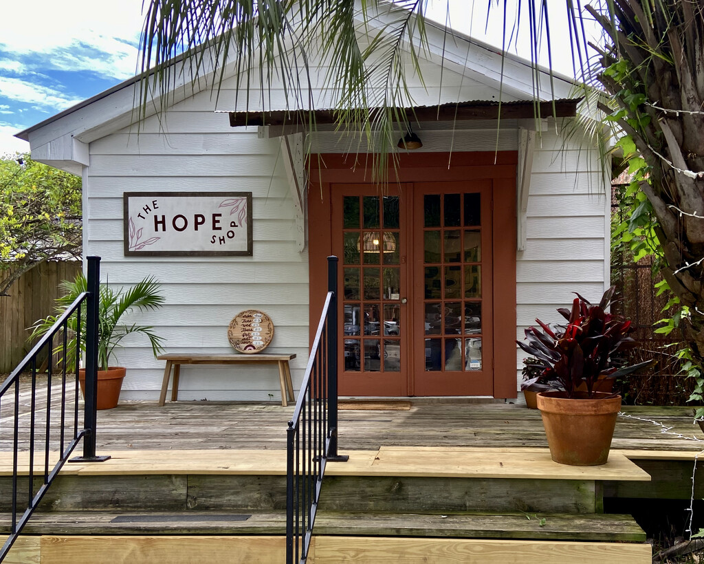 The Hope Shop by eudora