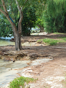 7th Jul 2021 - Deserted beach side path