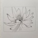 Flower in pencil by artsygang
