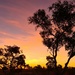 Kimberley Sunset by leestevo