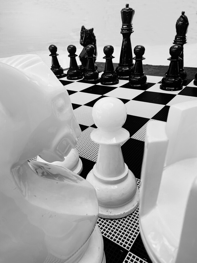 Chess in b&w by shutterbug49
