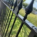 Newly painted fence by bill_gk