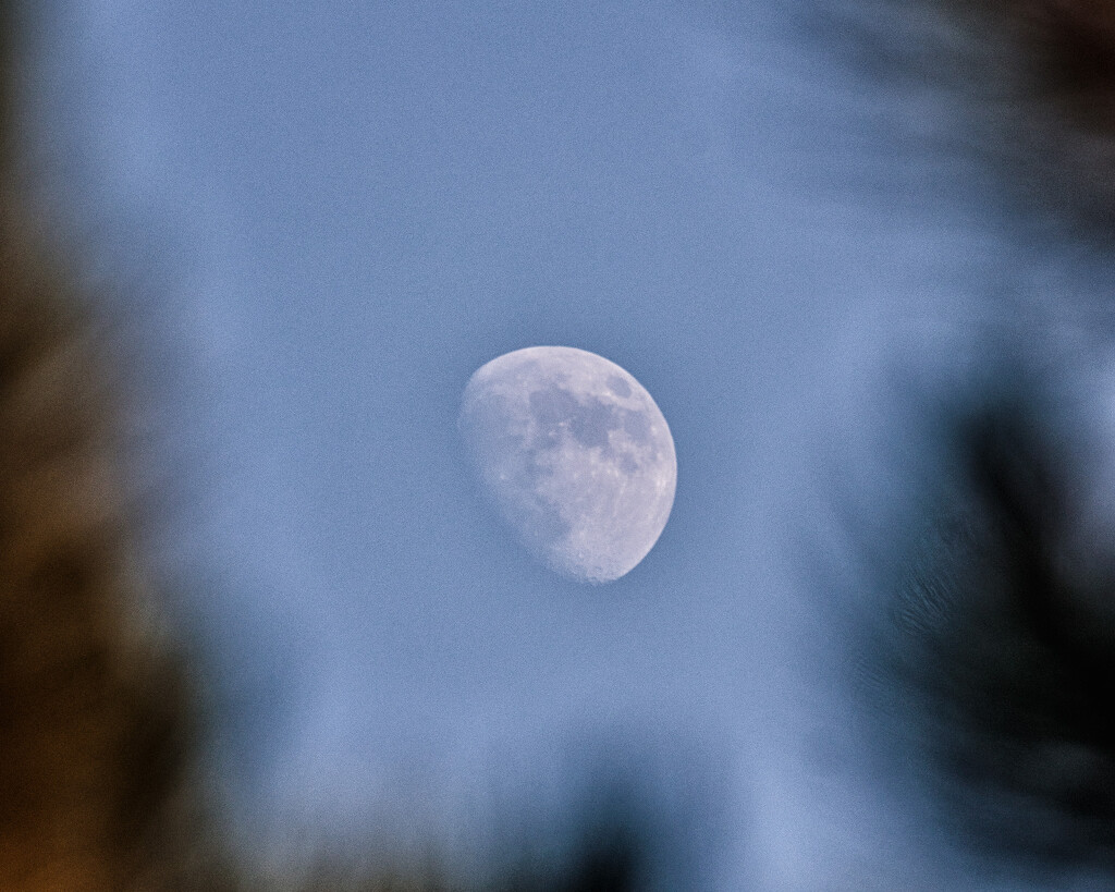 evening moon by aecasey