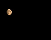 21st Jul 2021 - Orange Moon