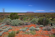 22nd Jun 2021 - Look - There's Uluru!!!