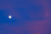 22nd Jul 2021 - Moon at sunset
