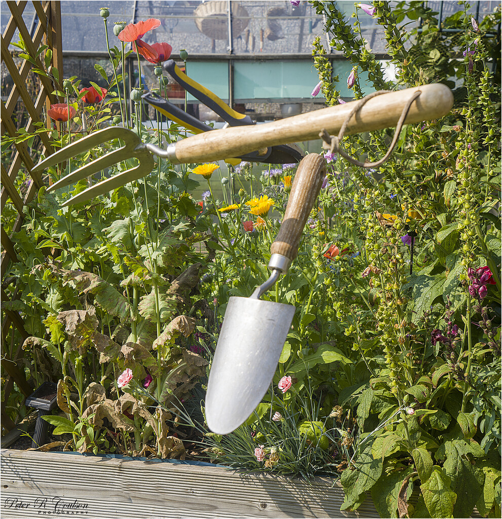 Levitating Garden Tools by pcoulson