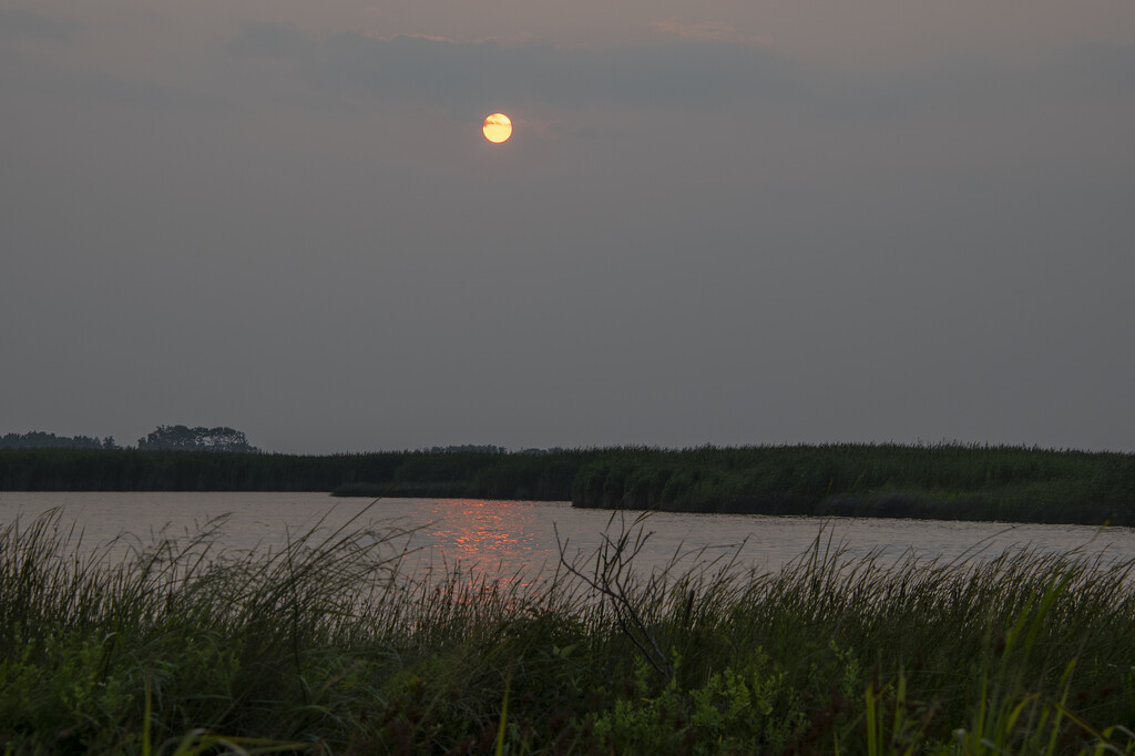 Back Bay Sunset I by timerskine