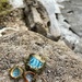 Beachcombing Finds by kwind