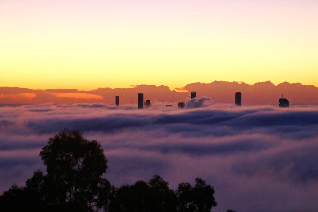 Foggy Brisbane Morning - 3 by terryliv