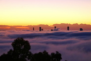 24th Jul 2021 - Foggy Brisbane Morning - 3