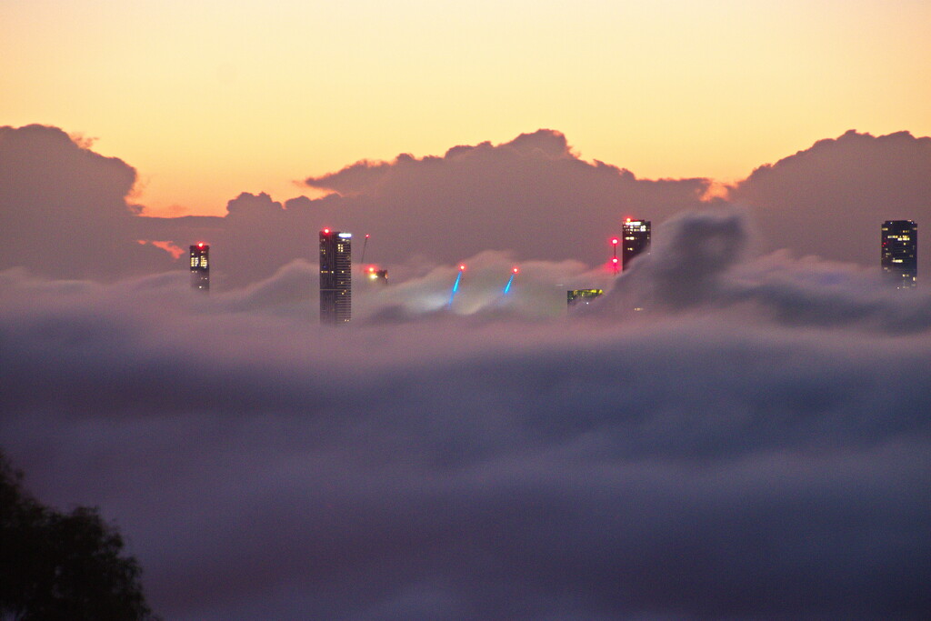 Foggy Brisbane Morning  - 2 by terryliv