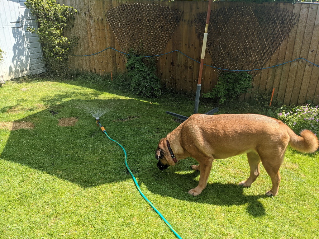 Cooling Off by bulldog