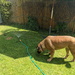 Cooling Off by bulldog
