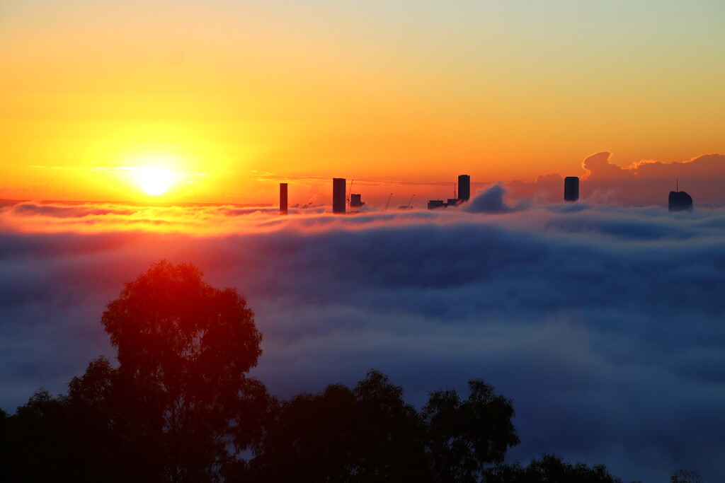 Foggy Brisbane Sunrise - 3 by terryliv