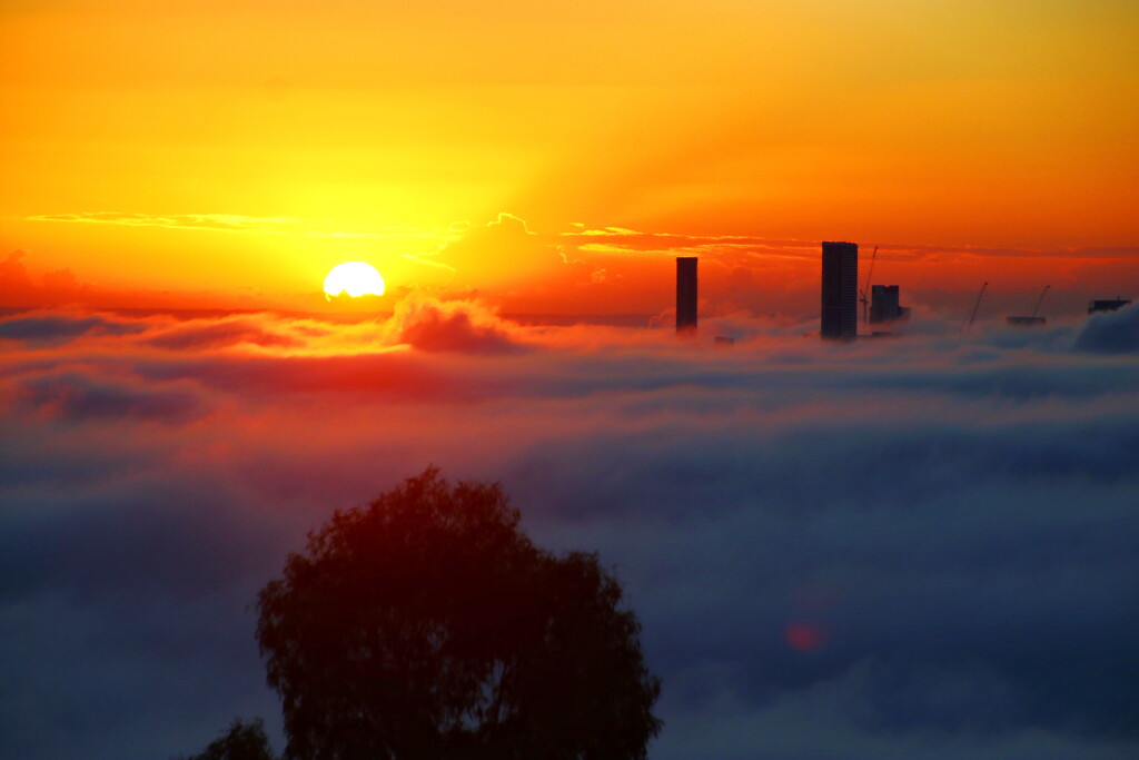 Foggy Brisbane Sunrise - 2 by terryliv