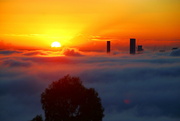 25th Jul 2021 - Foggy Brisbane Sunrise - 2