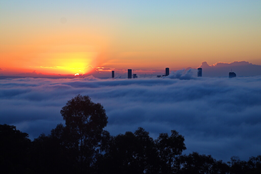 Foggy Brisbane Sunrise - 1 by terryliv