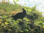 22nd Jul 2021 - On The Banks Edge