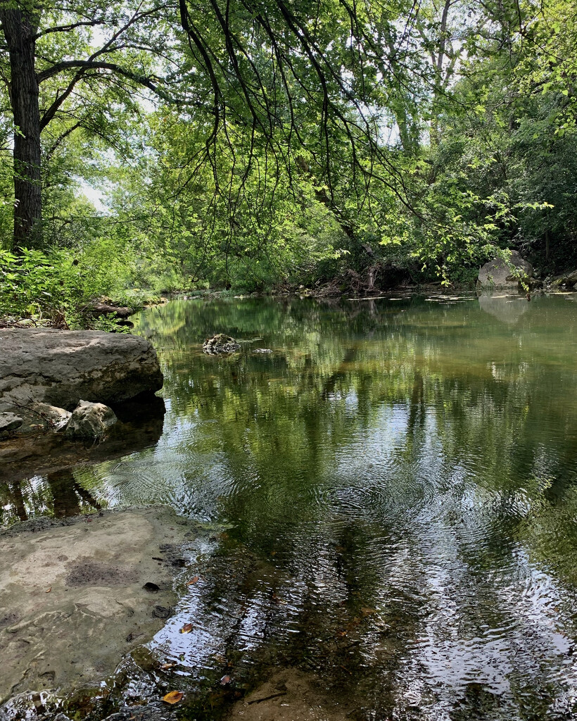 Swimming hole by eudora