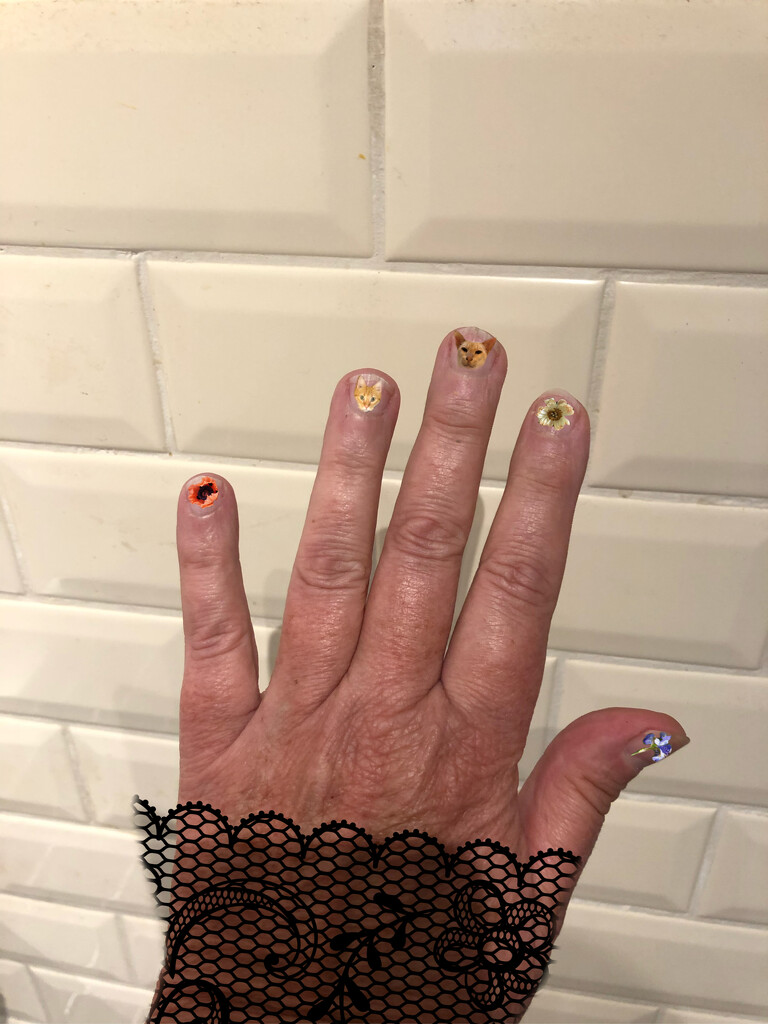 Nails by jacqbb