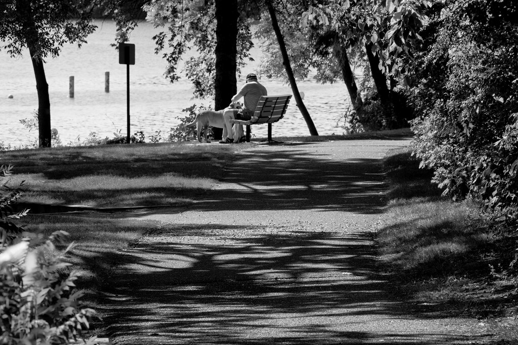 Friends at the Park Bench by tosee