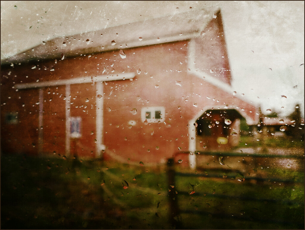 Through a Rain Splattered Windsheild by olivetreeann