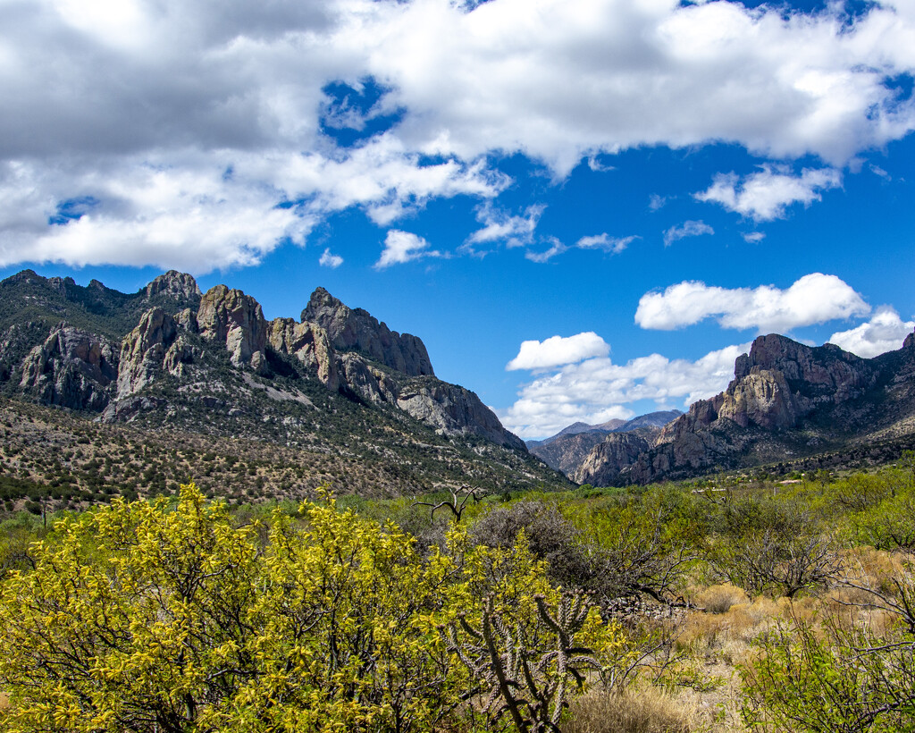 Cave Creek Canyon by cwbill