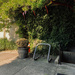 Bike rack under wisteria by cristinaledesma33