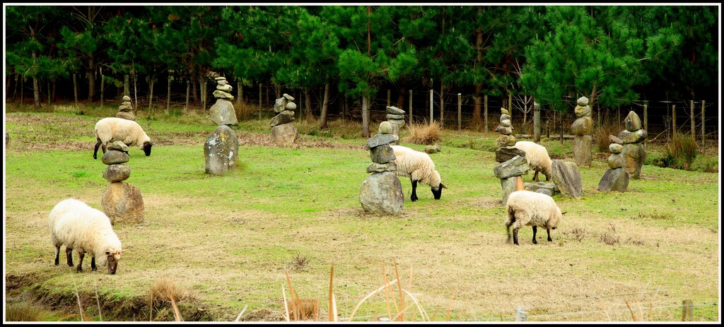 Stonehenge  NZ style by dide