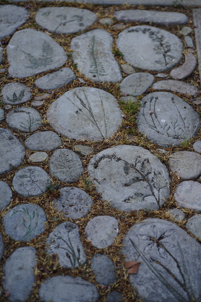 Stepping stones with plant carvings by acolyte