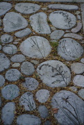 24th Jul 2021 - Stepping stones with plant carvings