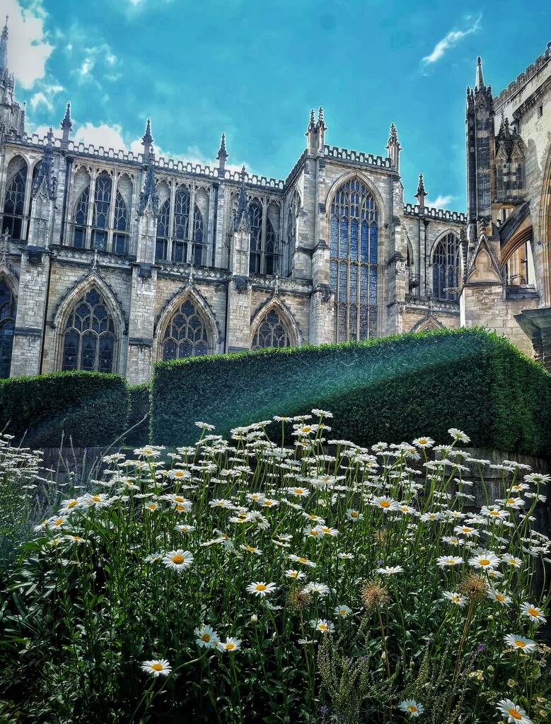 View of York Minster by denful