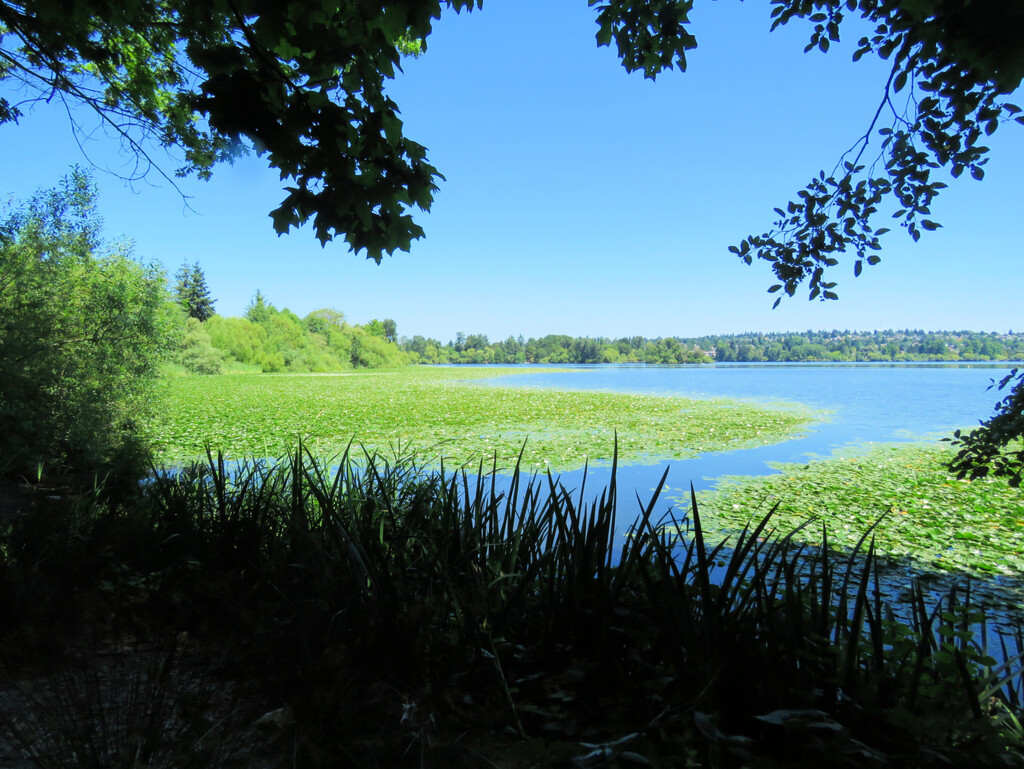 Green Lake by seattlite