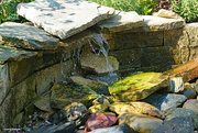 26th Jul 2021 - Children's garden Fountain 