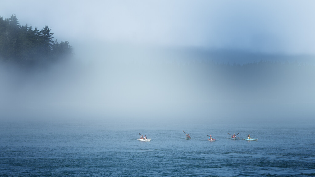 Out of the Mist, Tofino Harbour by cdcook48