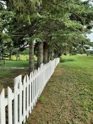26th Jul 2021 - The White Picket Fence