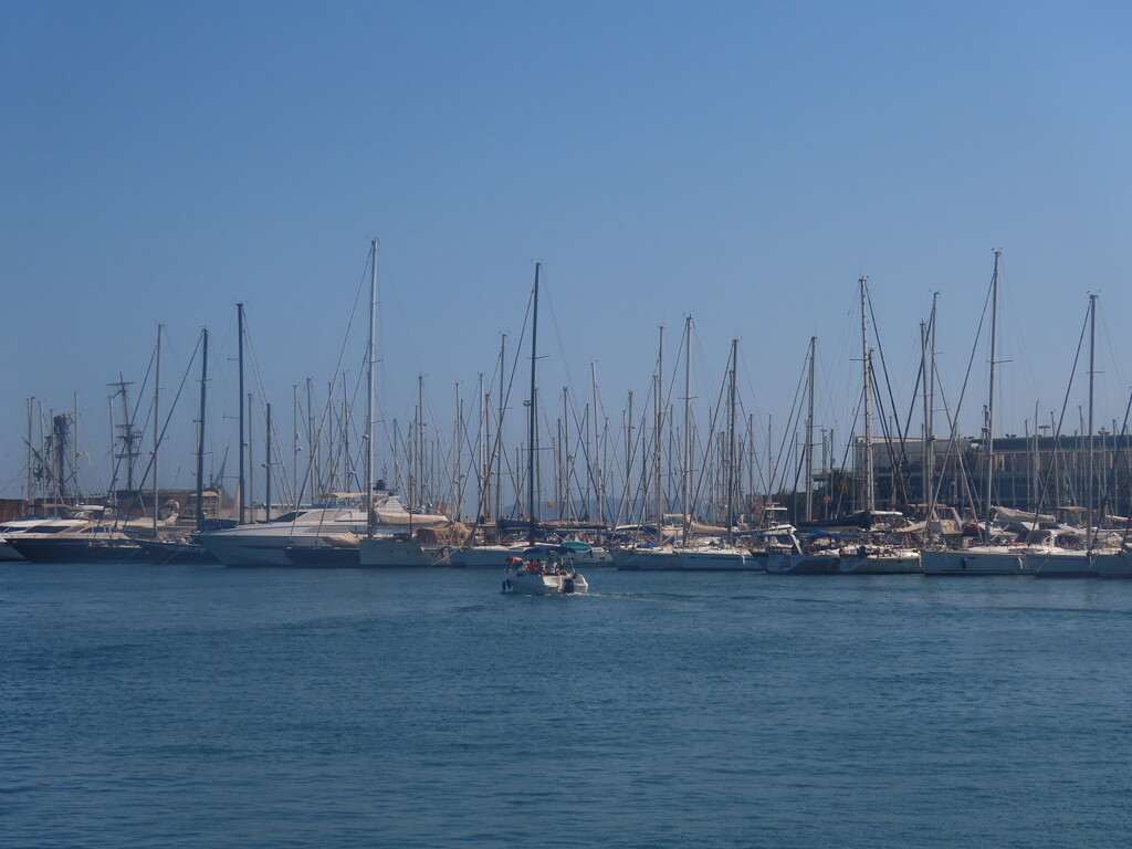 Alicante Harbour View by mumswaby
