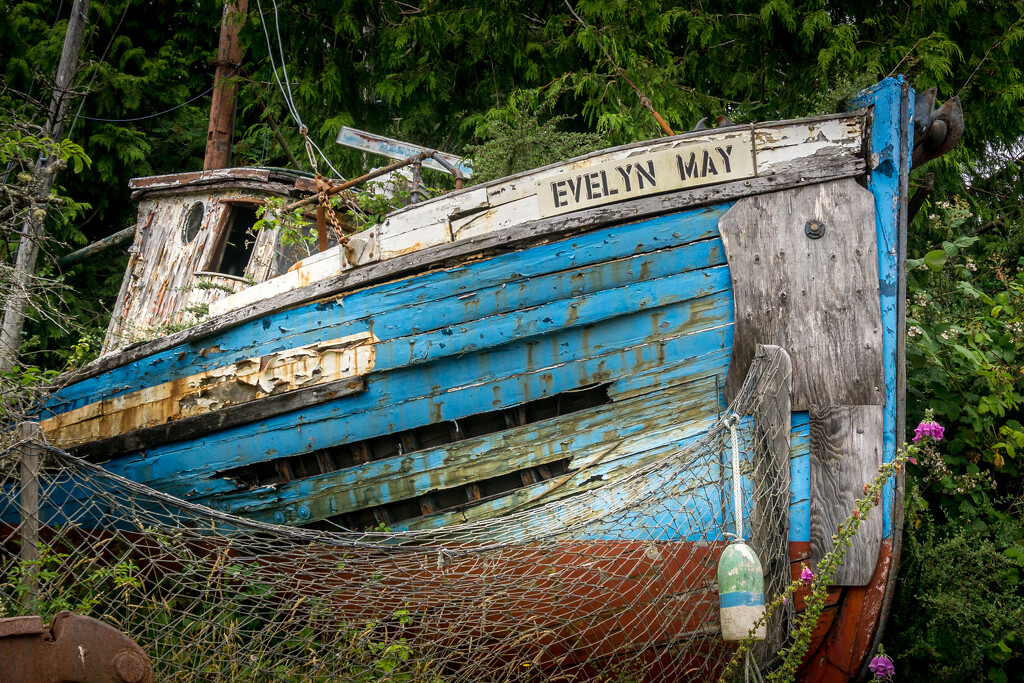 Evelyn May, Ucluelet by cdcook48
