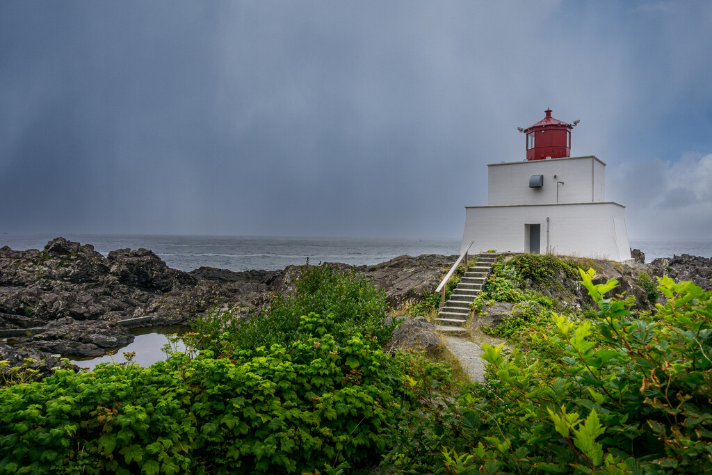 Amphitrite Point Lighthouse, Ucluelet by cdcook48